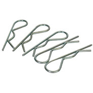 Borgpennen en -veren