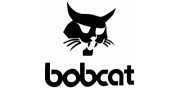 Bobcat