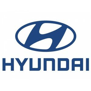 Hyundai blauw