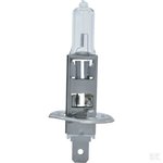 Gloeilamp 12V 55W H1