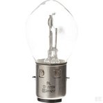 Gloeilamp 12V 35/35W BA20d