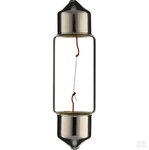 Buislamp 24V 5W SV8,5