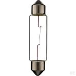Buislamp 24V 10W SV8,5